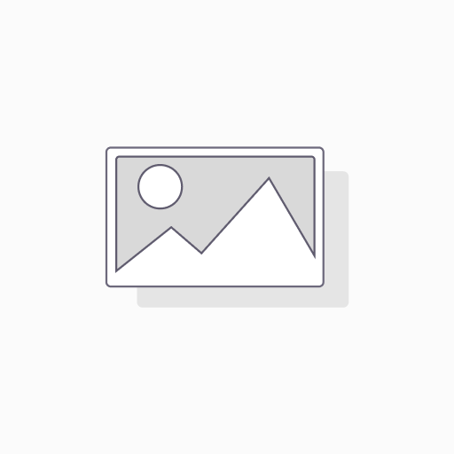 YURI 100x16Mm Flap Wheel A-80 Mii